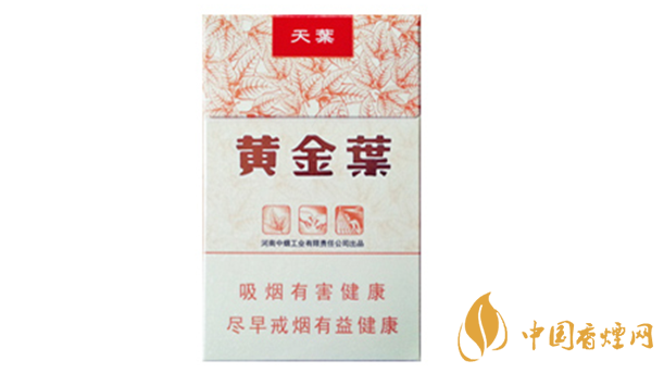 黃金葉天葉真?zhèn)卧趺幢鎰e？天葉真假如何看？