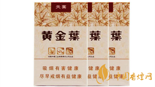 2020黃金葉天葉怎么樣？黃金葉大小天葉有什么不同