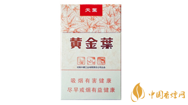 黃金葉天葉真假怎樣區(qū)分？黃金葉天葉真假識別