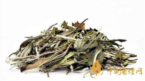 白牡丹茶的價格多少錢一斤2021最新報(bào)價