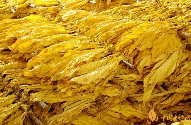 有機(jī)煙葉是什么，有機(jī)煙葉和普通煙葉的區(qū)別