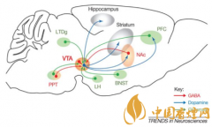 煙癮是什么 煙癮犯了怎么辦！